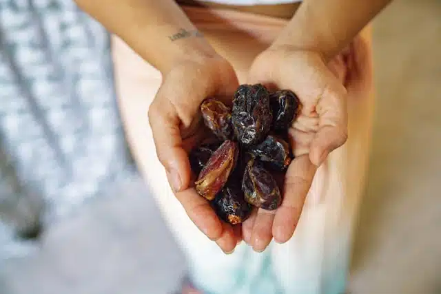 Eine Handvoll Bio-Datteln