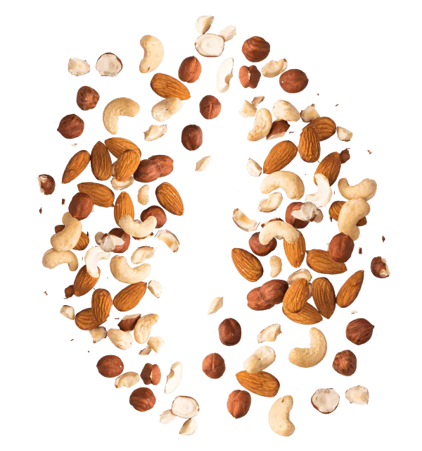 Mandeln, Cashewkerne und Haselnüsse liegen nebeneinander