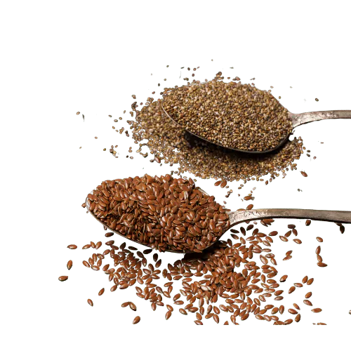 Chia- und Leinsamen liegen auf zwei Löffeln